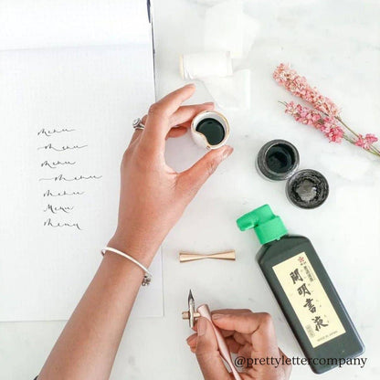 Elegant calligraphy setup with a Flourish Calligraphy Pen set, ink, and practice sheet from a stationery store.