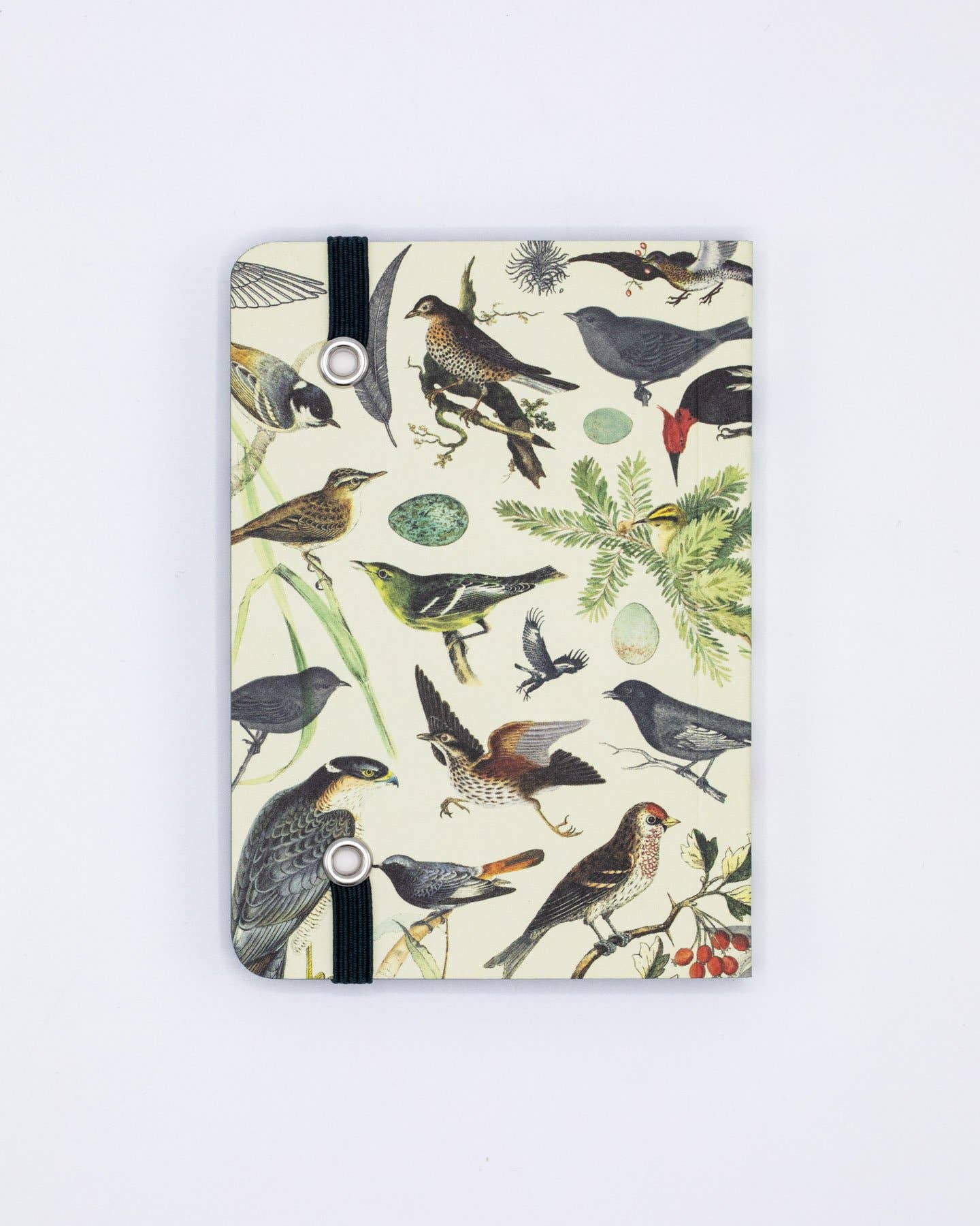 Alt Tag: Birds & Feathers Observation Softcover notebook with bird illustrations, perfect for birding adventures from the stationery store.