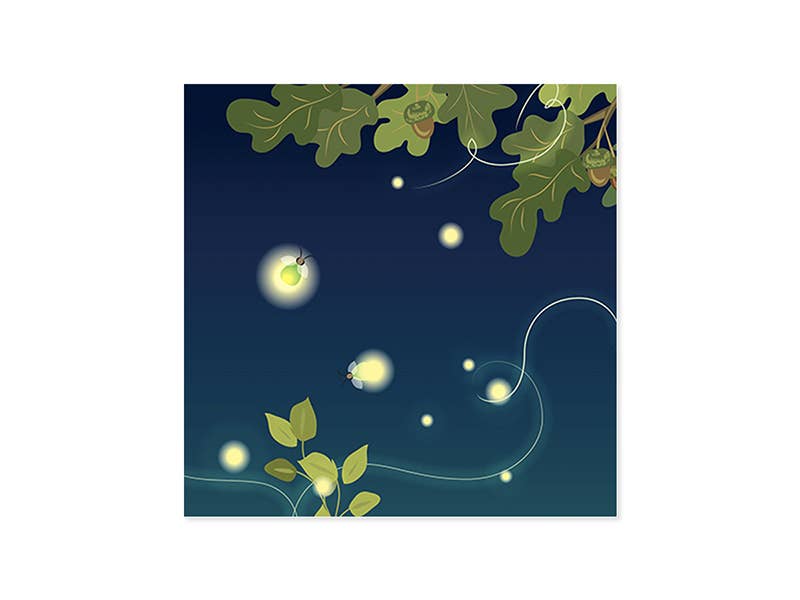 Lightning Bugs Pop-Up Card