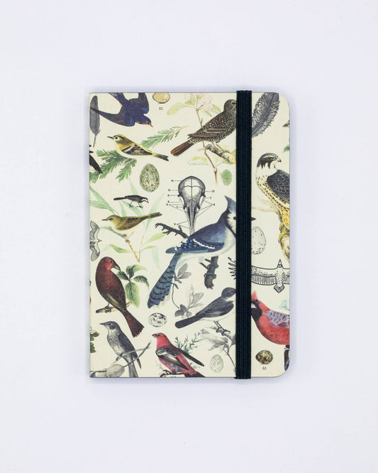 Birds & Feathers Observation Softcover notebook with bird illustrations, ideal for birding adventures, available at stationery store.