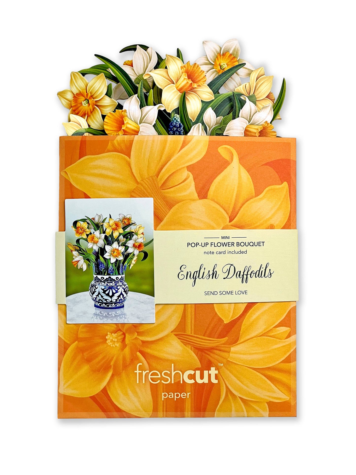 Mini English Daffodil pop-up bouquet in paper vase with matching note card from stationery store.