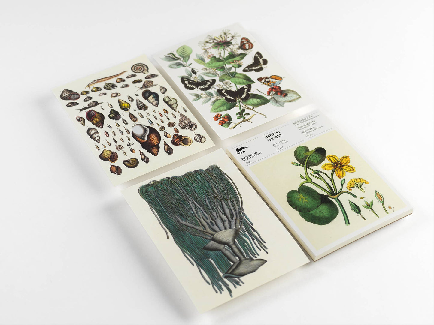 Natural History A5 Notepad with illustrated pages for writing and drawing, stationery store item.