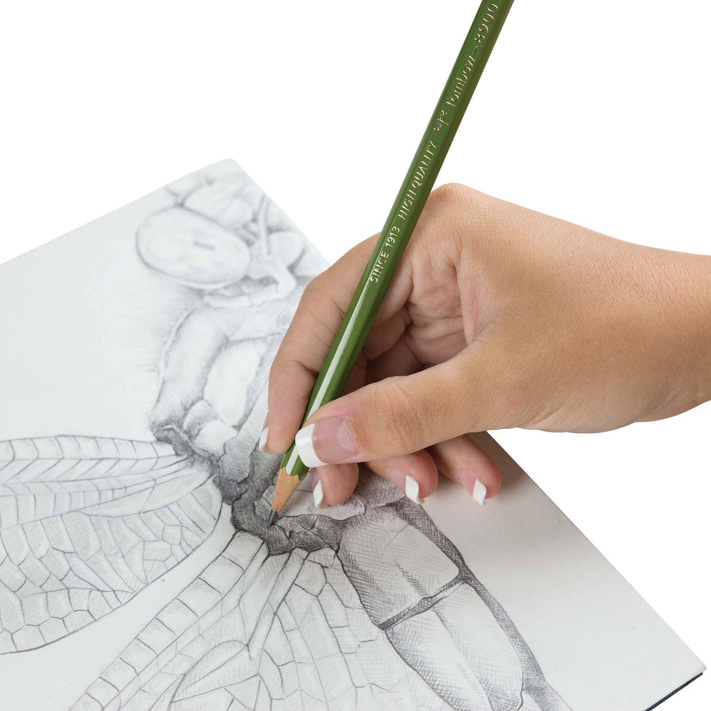 Hand drawing with 8900 Drawing Pencil 2B, known for quality in Japanese stationery stores.