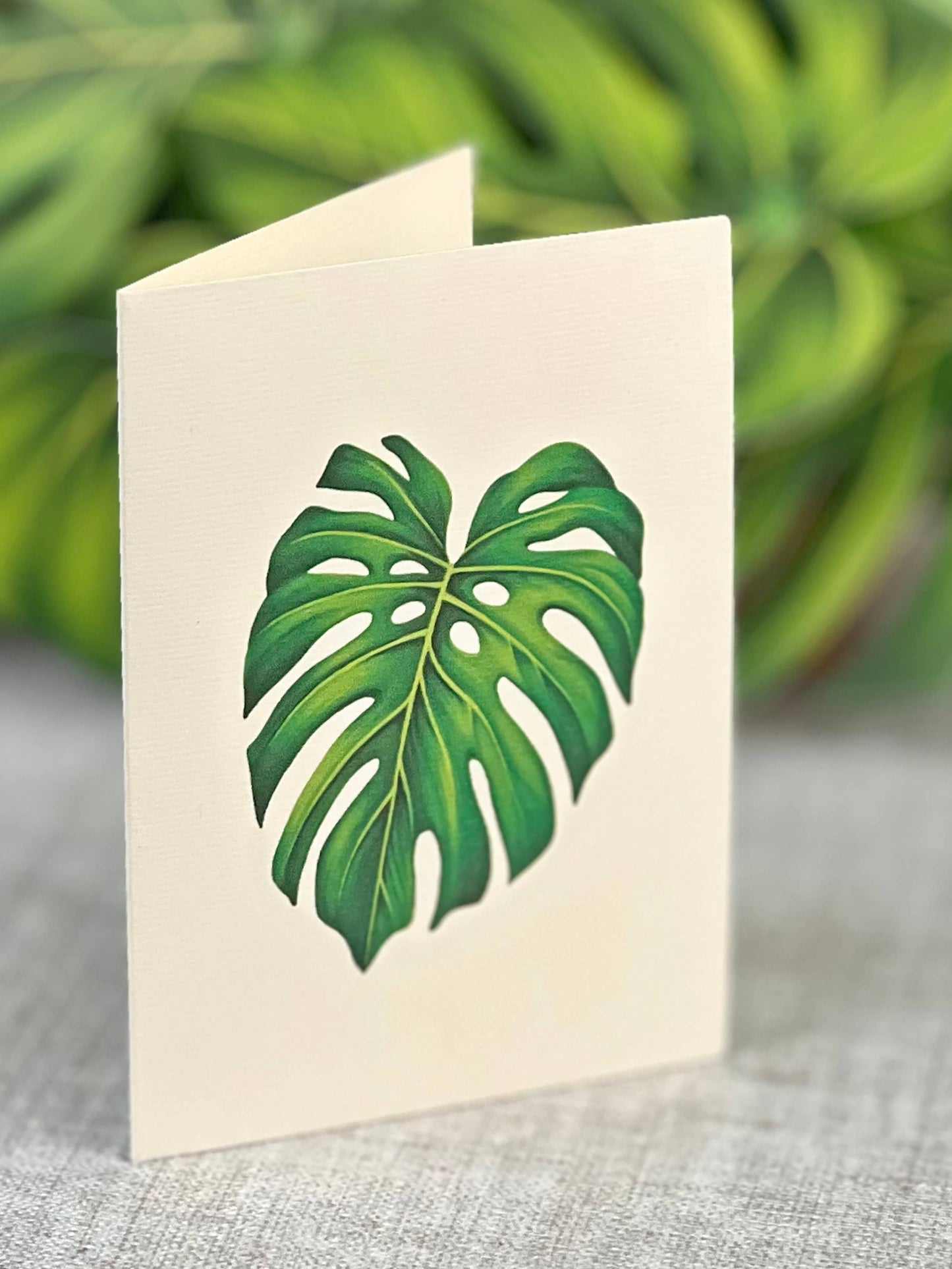 Monstera Plant Pop-up Greeting Card with swiss cheese leaf design, perfect for Father's Day. Available at stationery store.