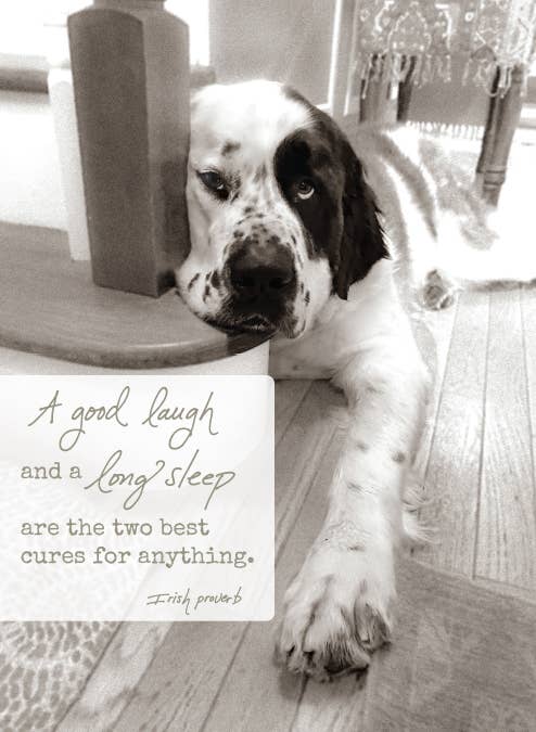 648GW: A good laugh and a long sleep are the two best cures