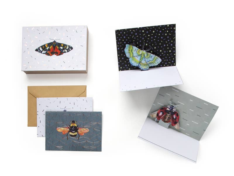 Wings Boxed Dimensional Pop-Up Card Set with Gold Foil featuring insects and envelopes, available at stationery store.