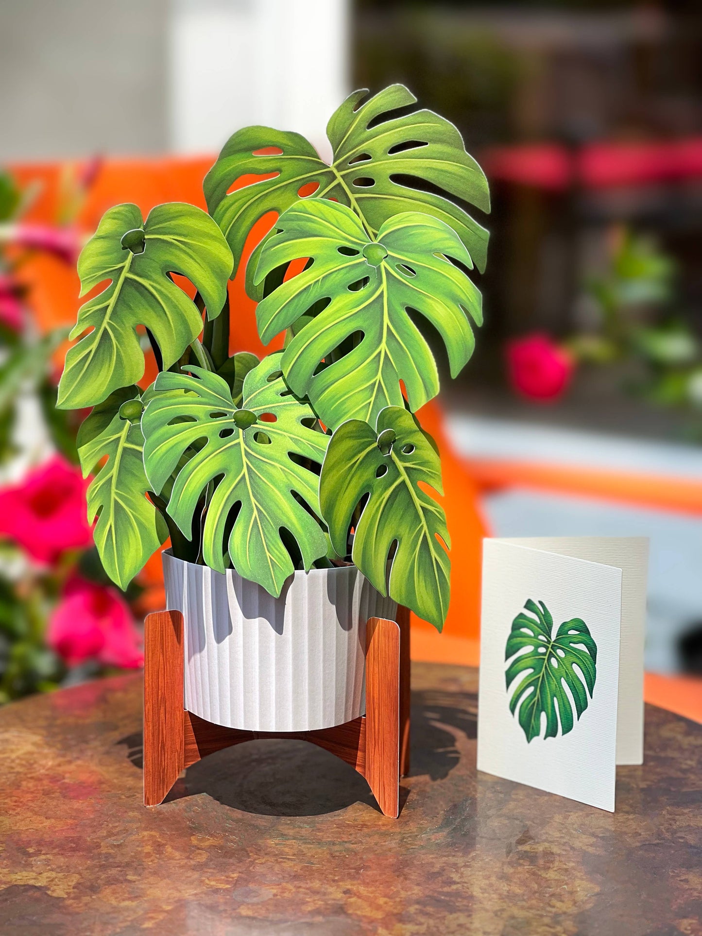 Monstera Plant Pop-up Greeting Card