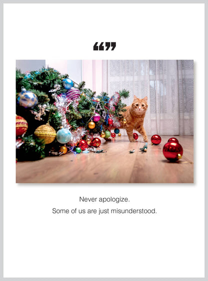 Misunderstood Christmas Boxed Set