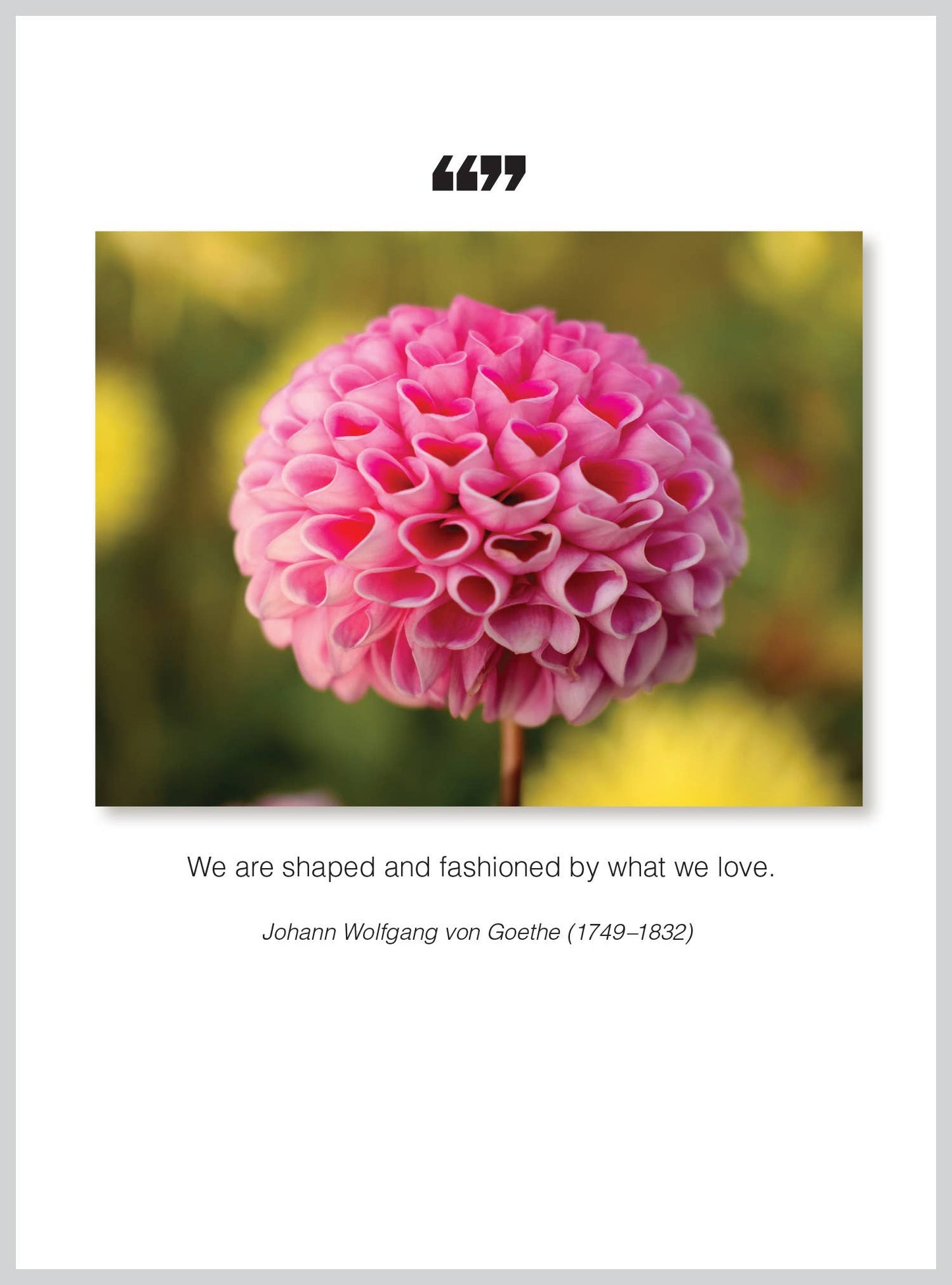 We are shaped Anniversary Wedding/VD Greeting Card