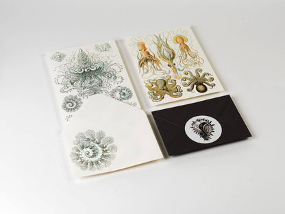 Art Forms In Nature Letter Writing Set