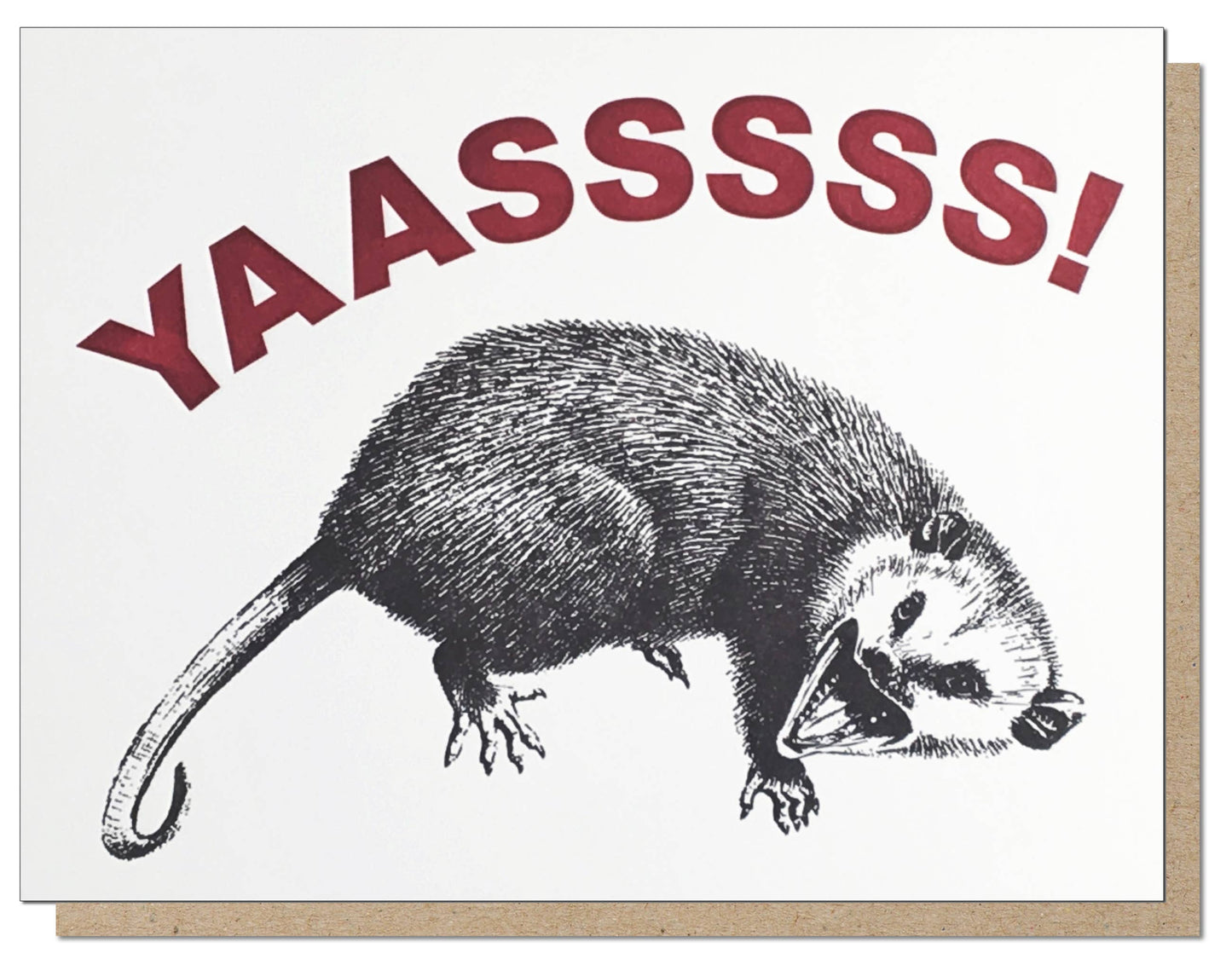 Yas Possum Card with 'YAAASSSS!' text, featuring a sketch of a possum; popular item in stationery stores by Guttersnipe Press.