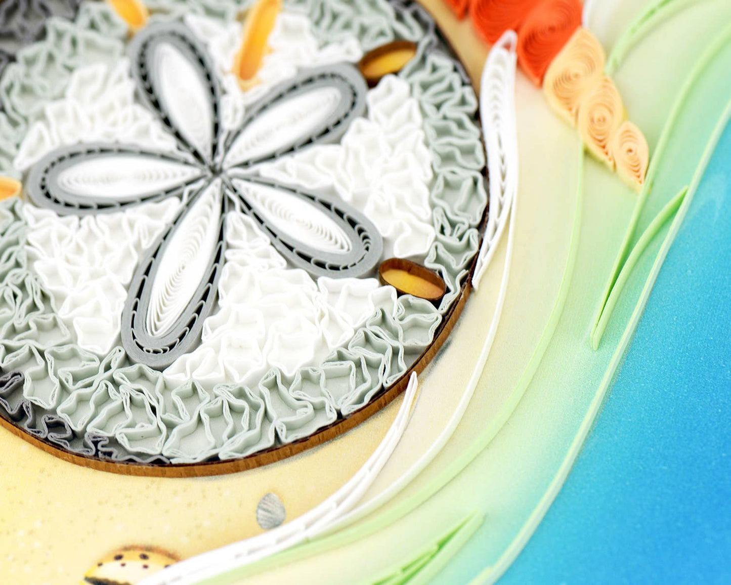 Sand Dollar Card