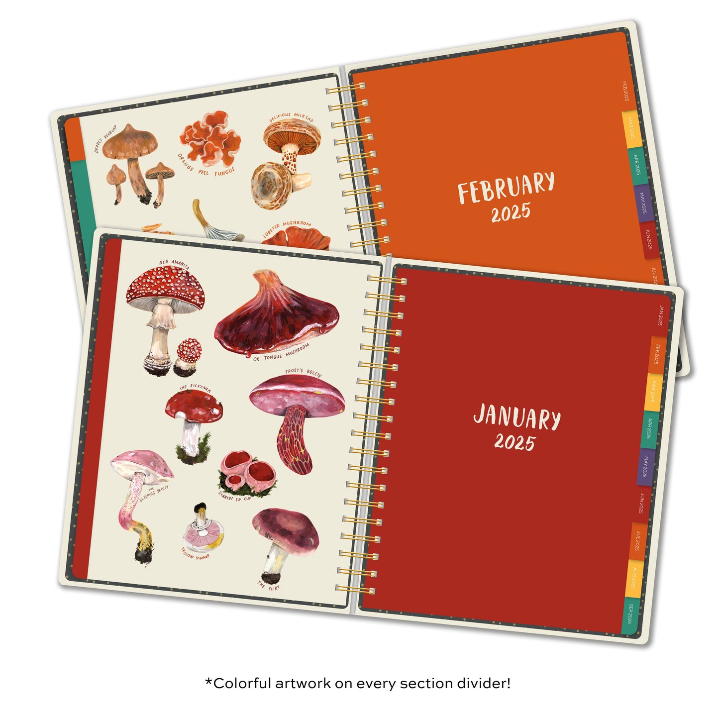 Colorful mushroom illustrations in the 2025 Mushrooms High Note® Deluxe Hardcover Planner sections for January and February.