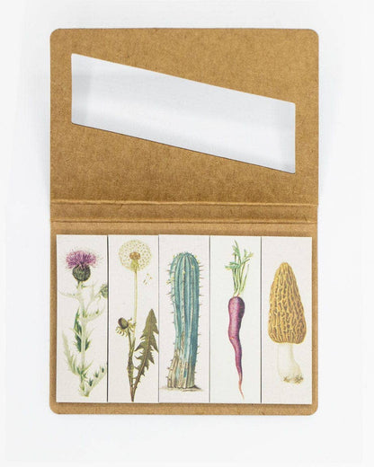 Flora Page Flags featuring botanical designs, perfect for botany students and gardeners; available at the stationery store.