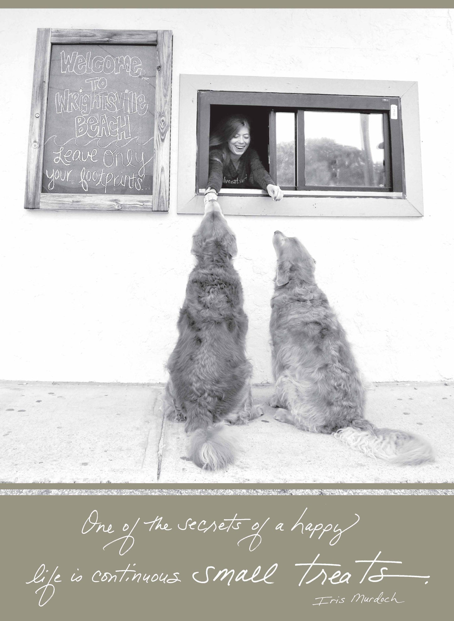 Dogs receiving treats at a window with quote: 'One of the secrets of a happy life is continuous small treats.' Perfect for stationery store.