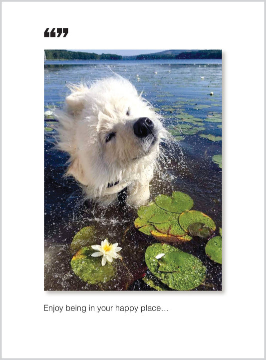 Fluffy dog shaking off water in a serene lake scene, Happy Place Birthday Greeting Card from a stationery store.