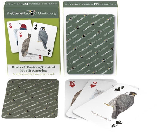 Birds of Eastern/Central North America Playing Cards Single Standard Deck