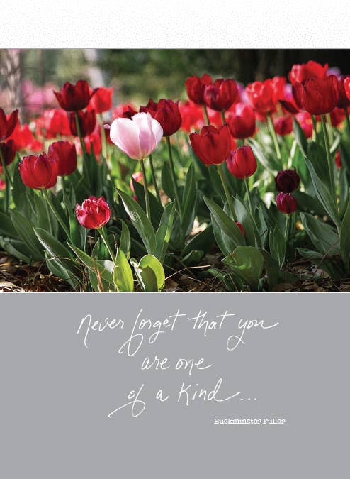 Inspirational card with red tulips, quote 'Never forget that you are one of a kind' by Buckminster Fuller, stationery store item.