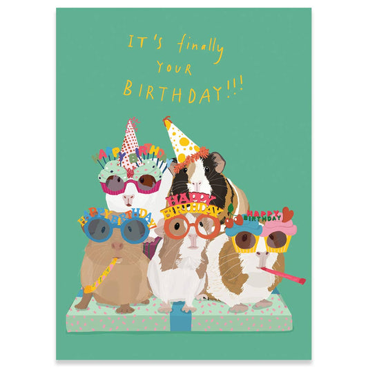 GUINEA PIG PARTY | CARTE BIRTHDAY CARD