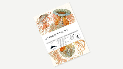 Art Forms In Nature Gift & Creative Paper Book Vol. 83 with 12 decorative sheets, available at stationery store.