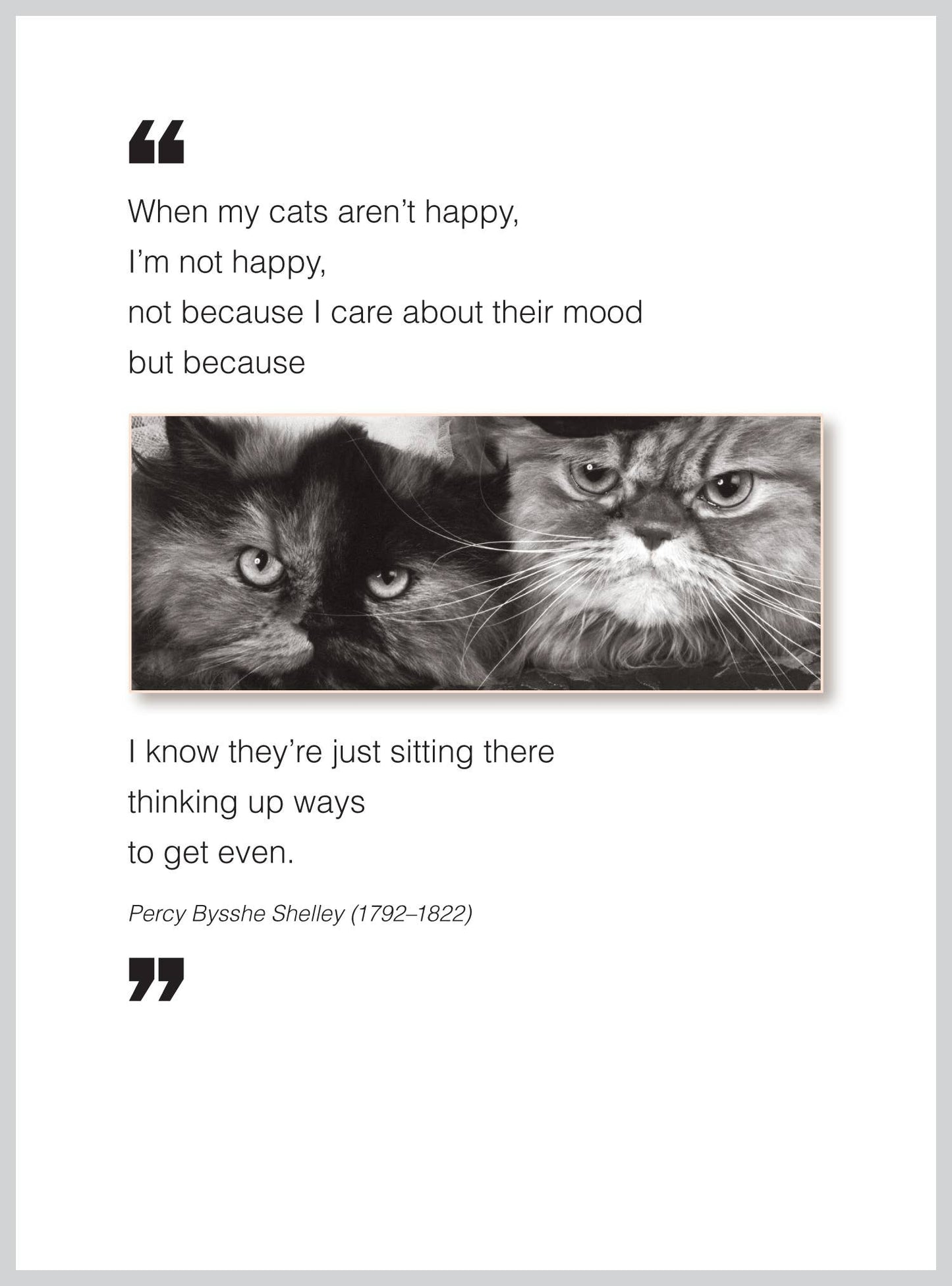 "When my cats aren't happy" greeting card with cat image, stationery store item, 5 x 6.75 inches, blank inside, made in USA.