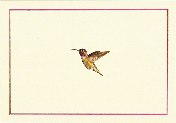 Hummingbird Flight Note Cards