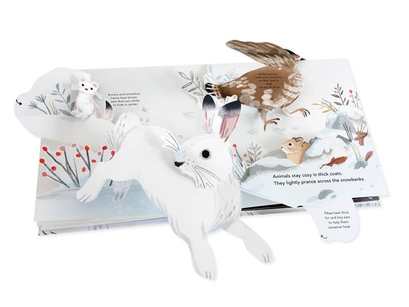 Snowscape: A Winter Pop-Up Book