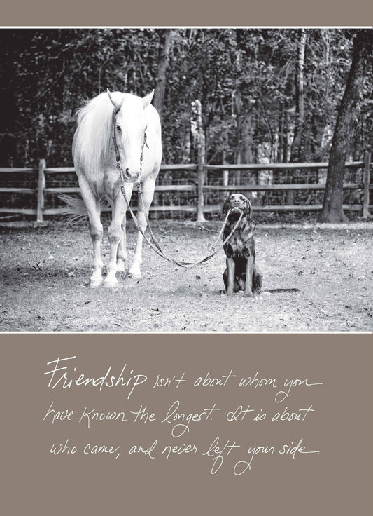 530b: Friendship Isn't About Whom You Have Known the Longest. It Is About Who Came, and Never Left Your Side.