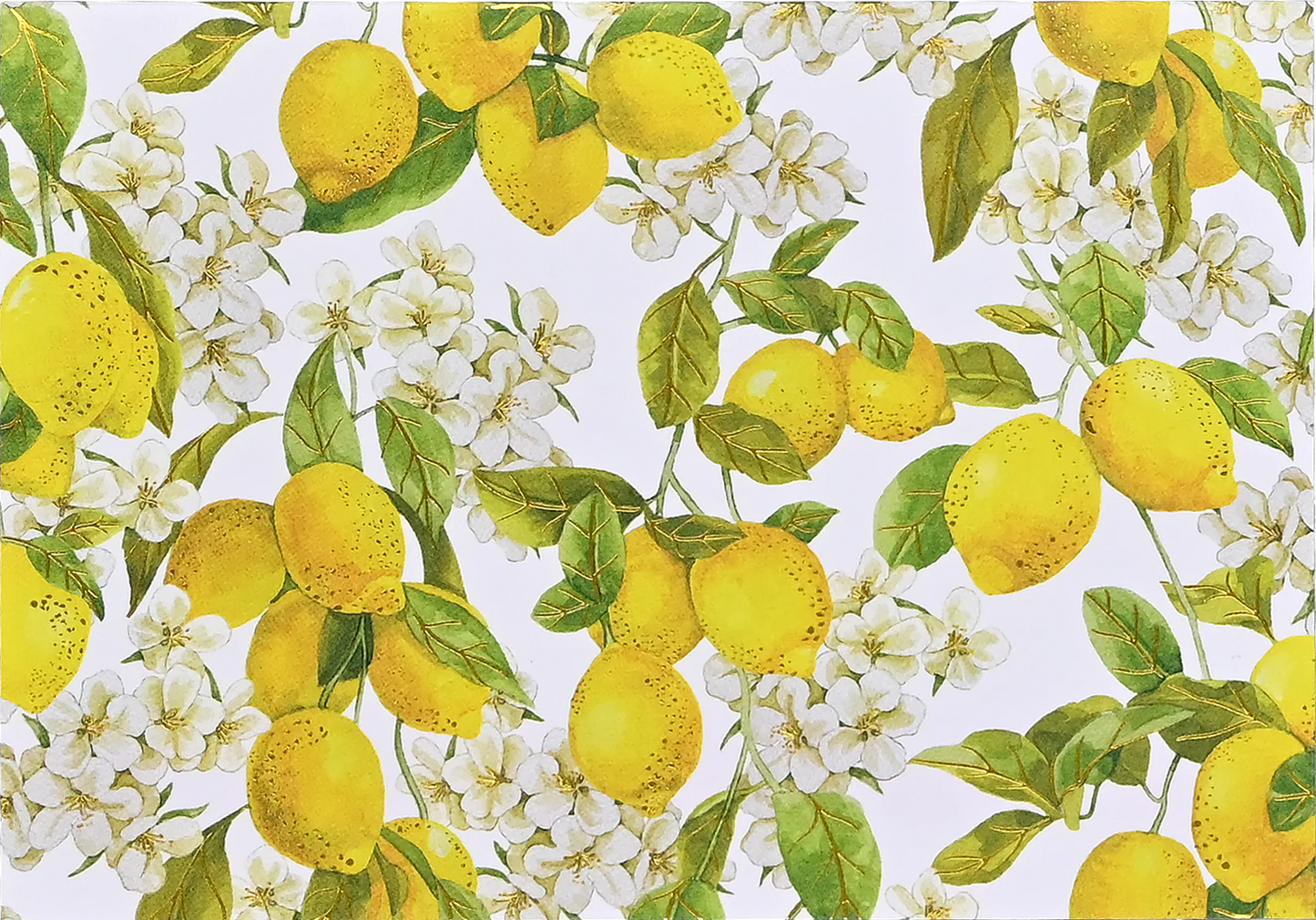 Blank Note Cards Amalfi Lemons