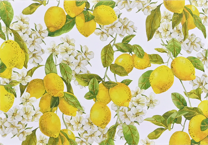 Blank Note Cards Amalfi Lemons
