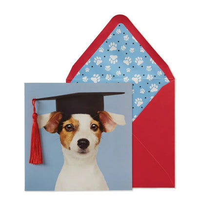 Pup in Hat Graduation Card