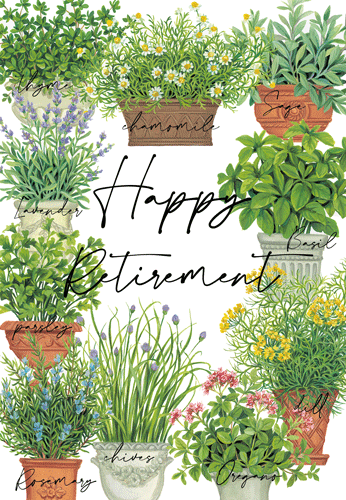 Container Garden Foil Eday N Size Retirement-Foil