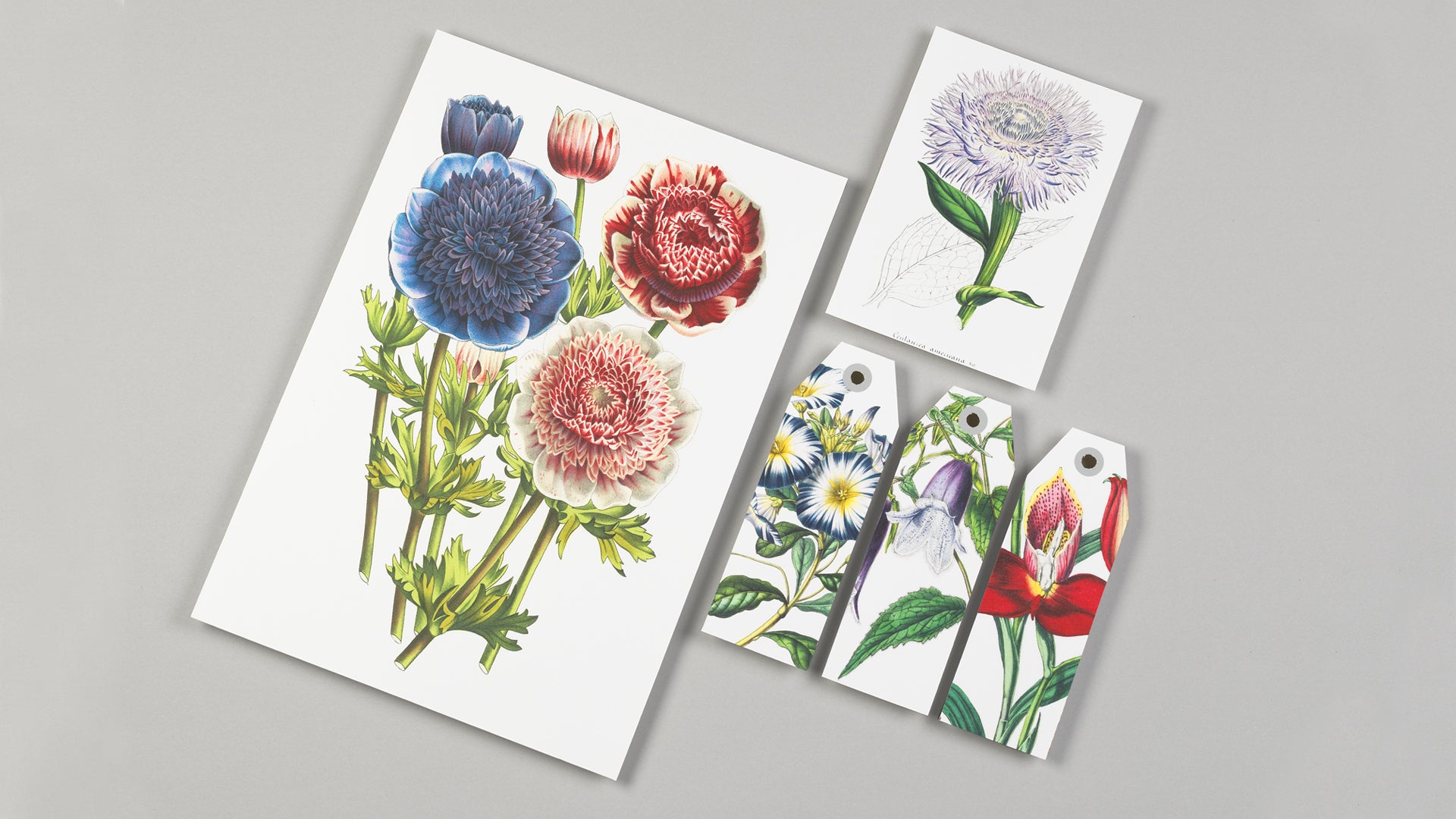 Papercraft Book - Flowers stationery set with floral prints and bookmarks, ideal for arts and craft projects from a stationery store.