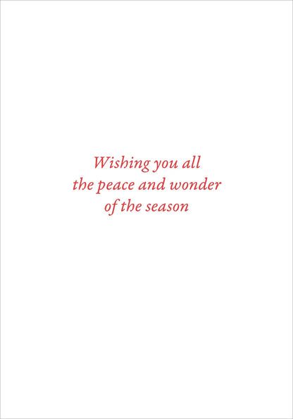 English Robins in the Snow Small Boxed Holiday Cards