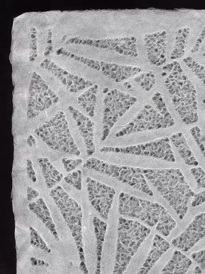Black Ink Decorative Thai Lace Paper - Lace Leaves - White