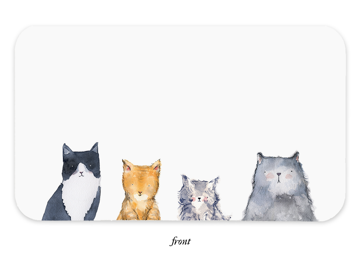 Cat's Meow Little Notes® NEW 55 Count