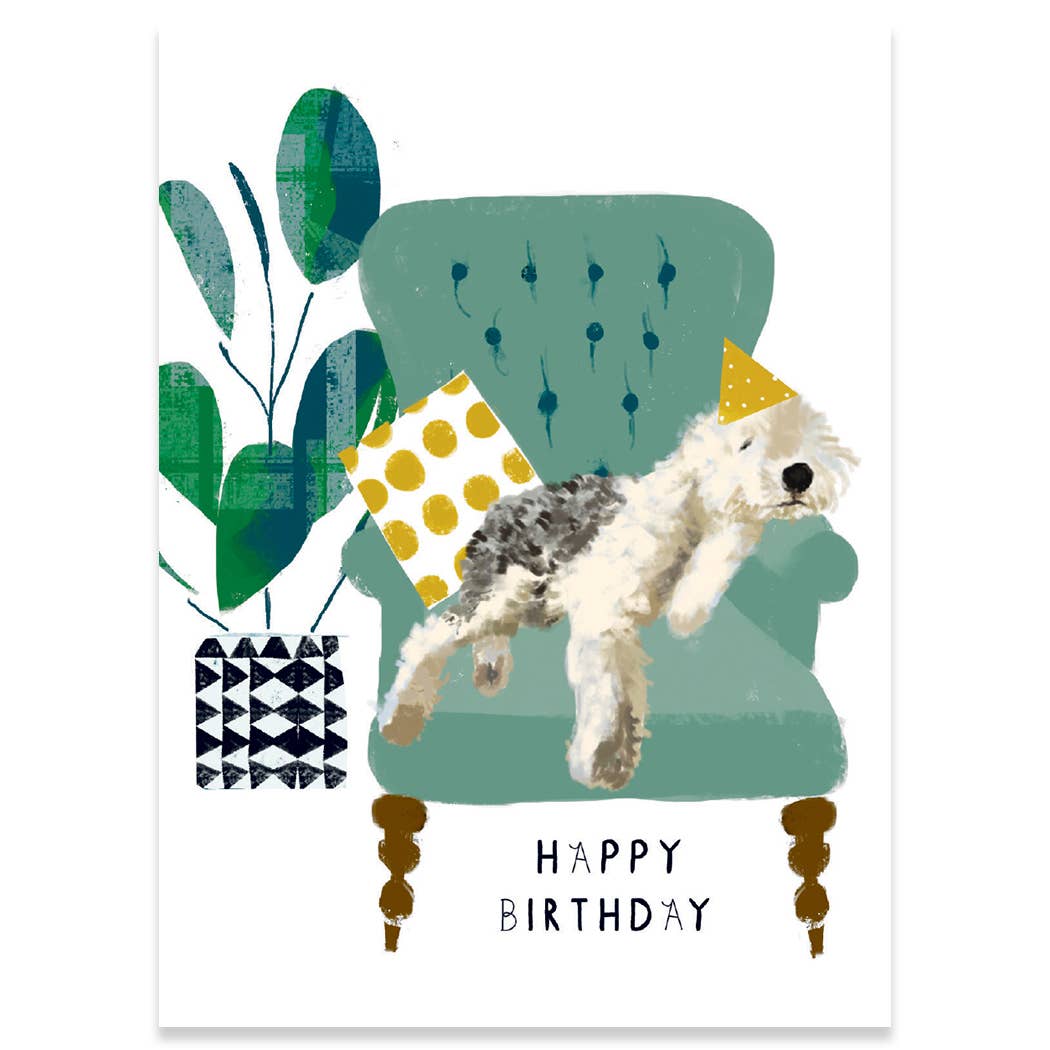 Illustrated Carte birthday card with dog, birthday hat, and cake coma theme. Keywords: Stationery store, POOPED, Happy Birthday.