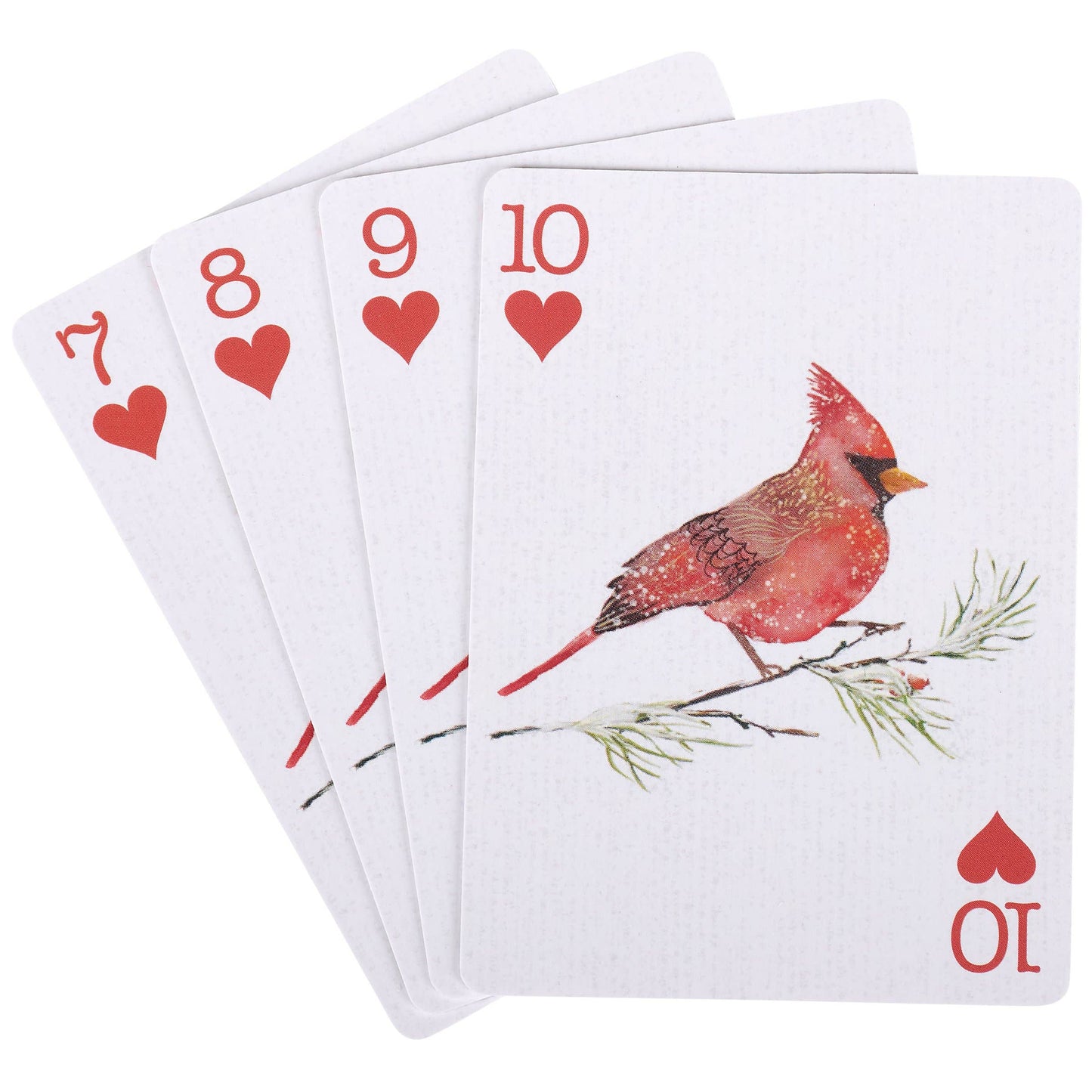 Winter Birds Playing Cards