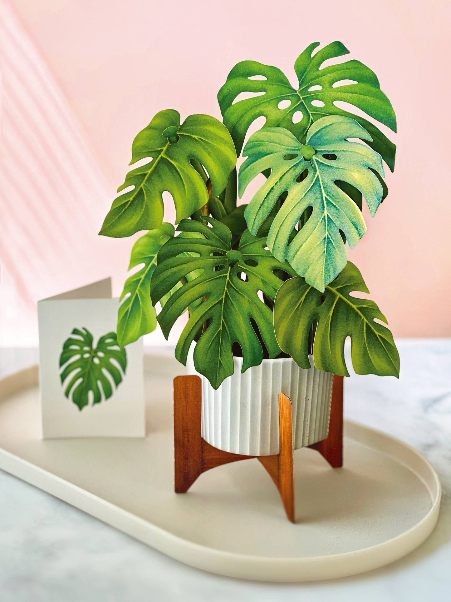 Monstera Plant Pop-up Greeting Card with wooden stand, modern white planter, and note card from a stationery store for Father's Day.