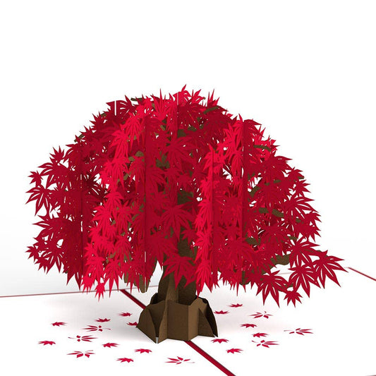 Japanese Maple 5''x7'' Card, Pop-Up Cards