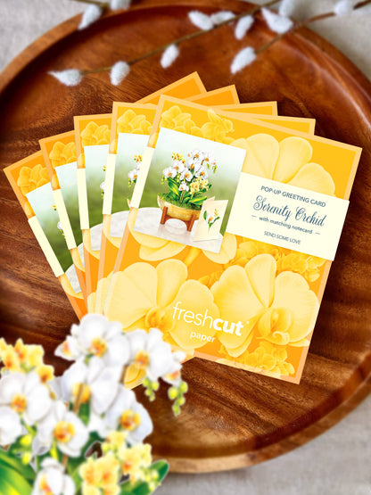 Mini Serenity Orchid Pop-up Greeting Card with white and yellow blossoms on wooden plate, perfect for stationery store gifts.