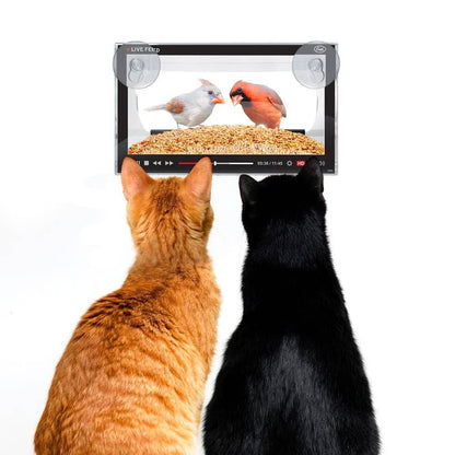 Howligans Bird Feeder - Live Feed with birds behind window admired by cats; perfect for pet entertainment from Stationery Store.