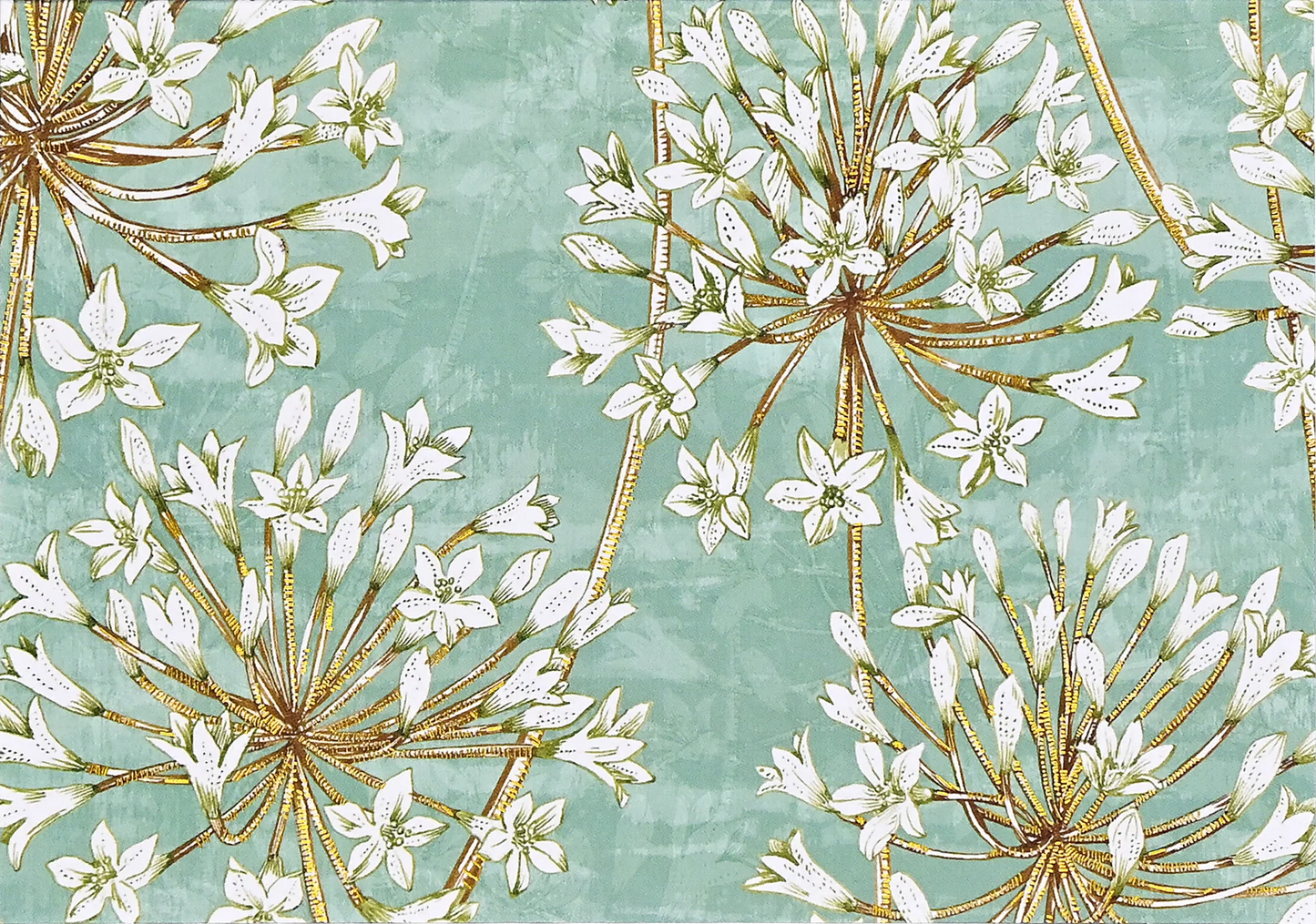 Allium Blossoms Note Cards