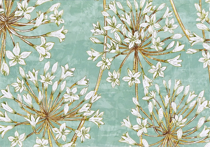 Allium Blossoms Note Cards