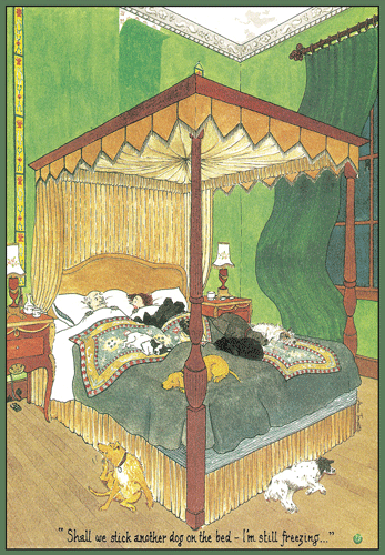 Throw Another Dog on the Bed - Anniversary Card