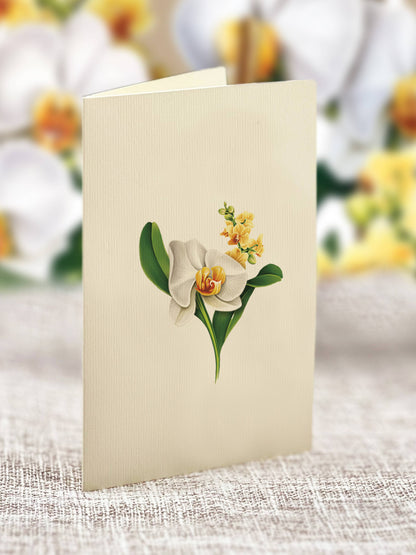 Alt Tag: Mini Serenity Orchid pop-up greeting card with white and yellow blossoms from a stationery store, displayed elegantly.