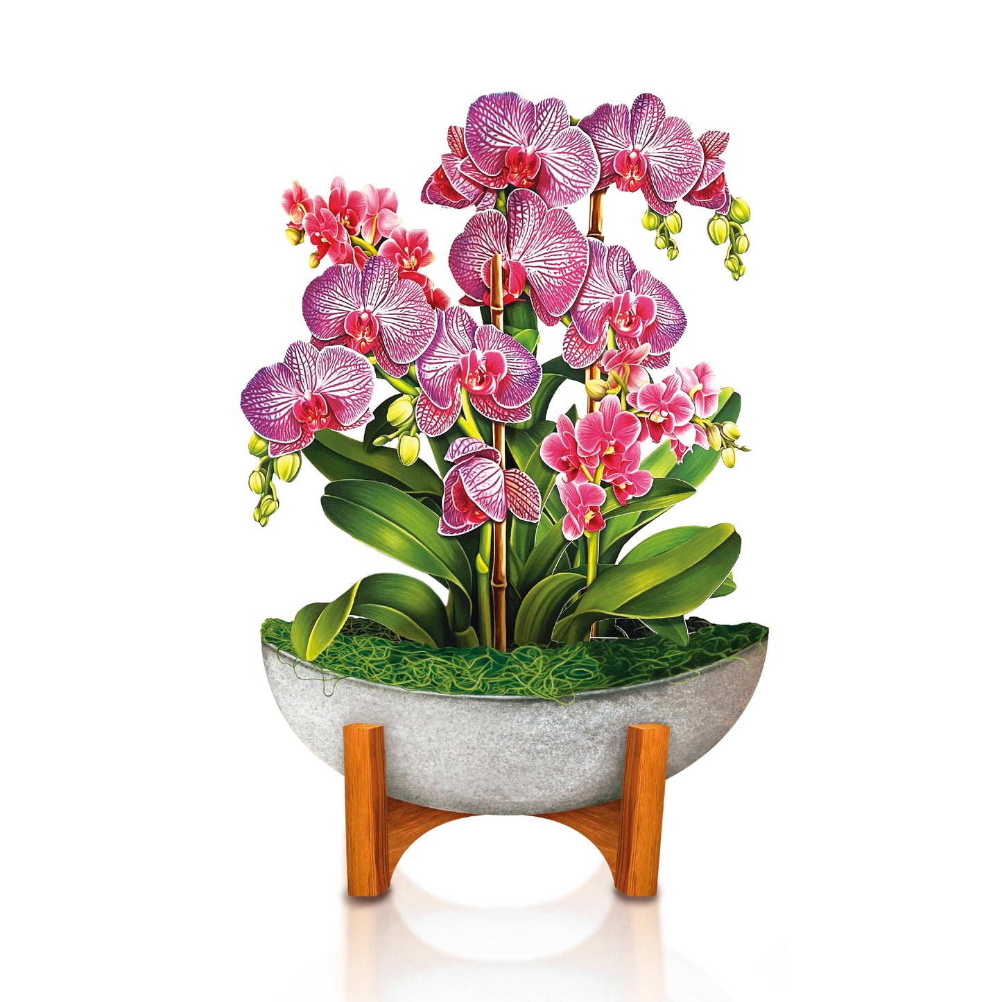 Mini Orchid Oasis Pop-up Greeting Card