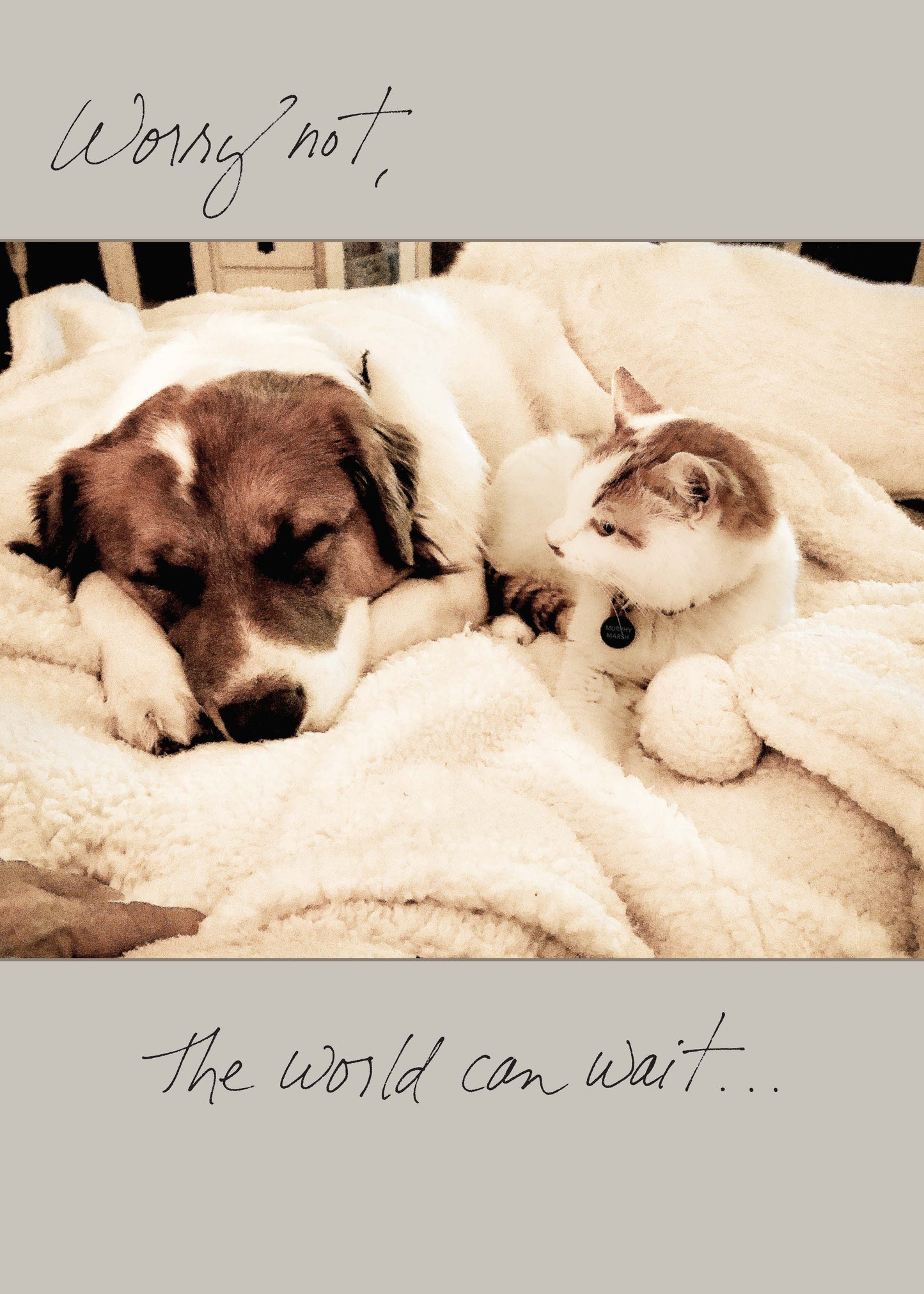 Alt Tag: 580gw Card with Sleeping Dog and Cat - Worry Not, the World Can Wait from Stationery Store