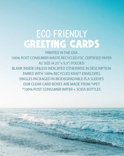 Eco-friendly greeting cards with ocean view, printed on recycled paper, A2 size, paired with kraft envelopes, stationery store.