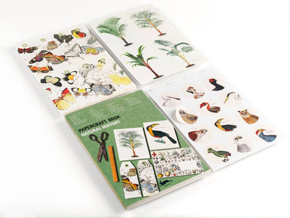 Natural History Papercraft Book with art-grade paper, ideal for greeting cards, envelopes, and gifts. Available at the stationery store.